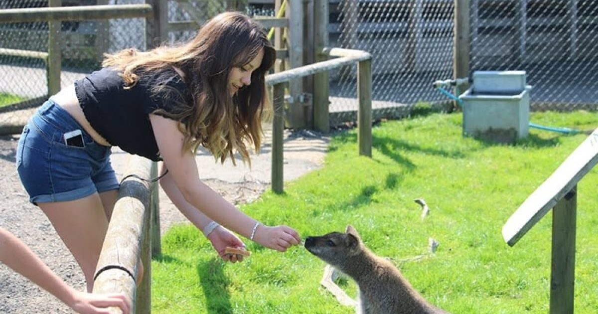 Best Animal Keeper Experience in South East Best Animal Keeper
